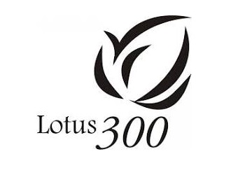 Lotus 300